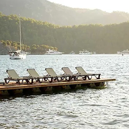 Marimare